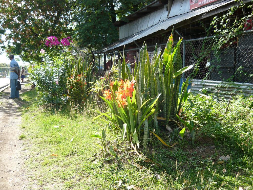 Hotel Chez Marie Alish Gros Islet Zewnętrze zdjęcie